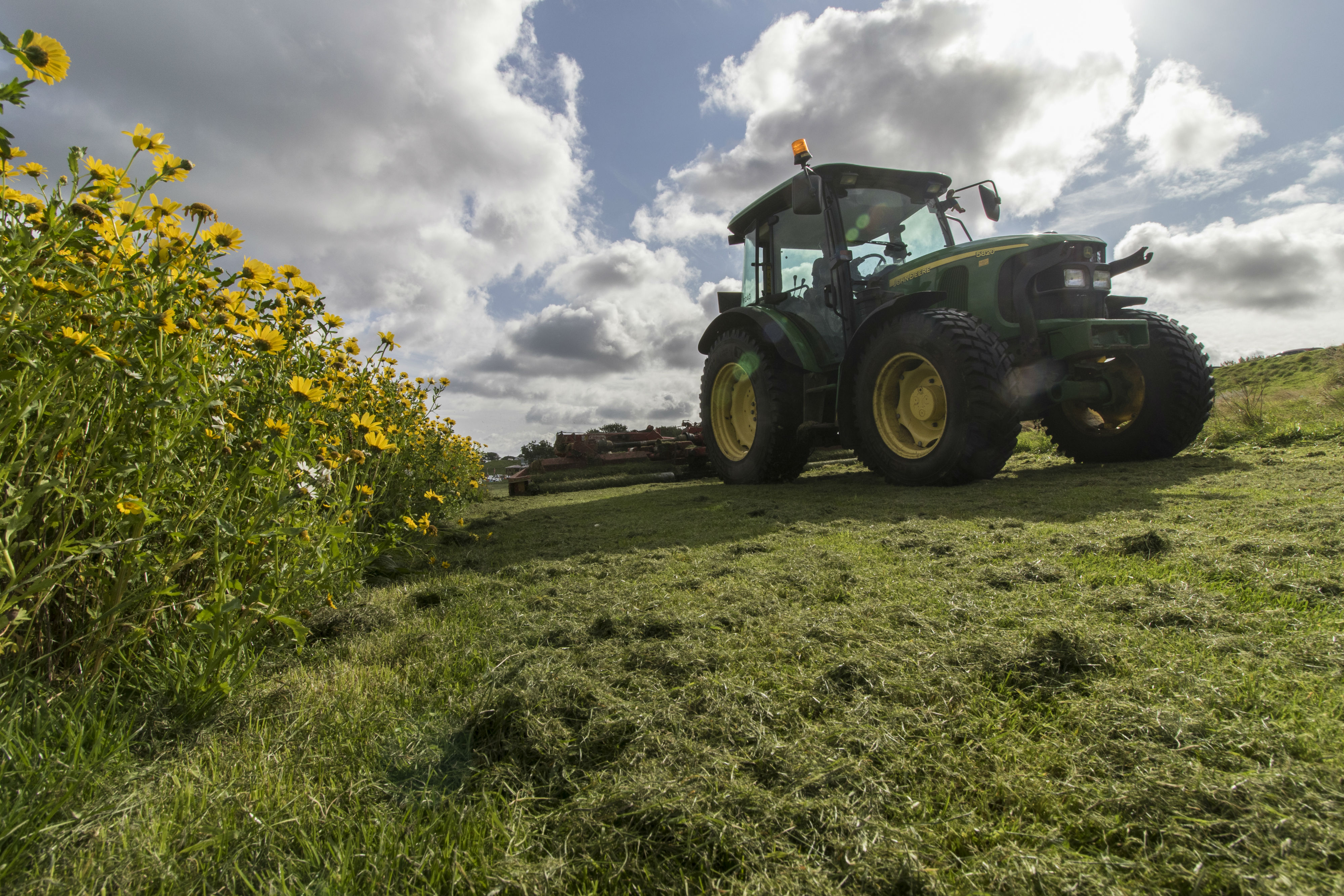 City of Edinburgh Council maintaining a wildflower meadow. Image by Barrie Williams. 