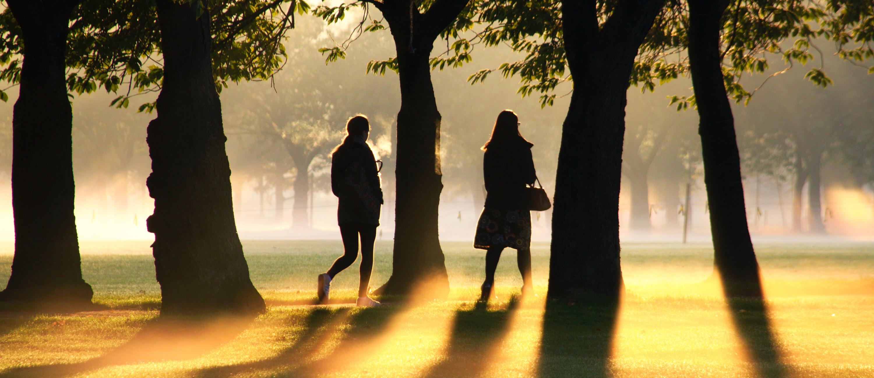 The Meadows. Image by Patrick Down.