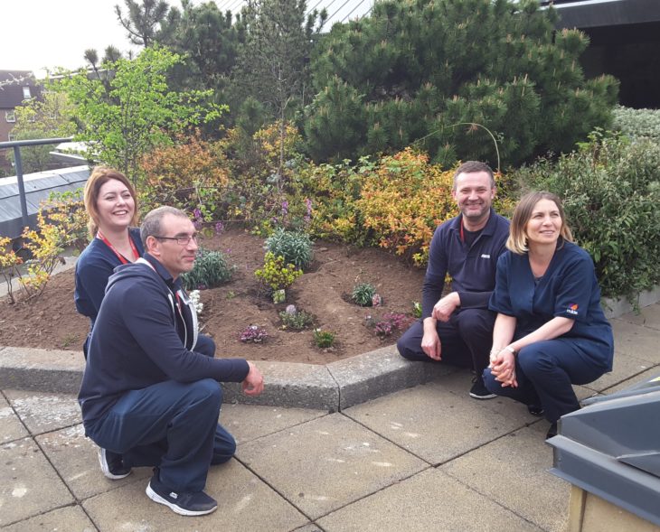 SLA team planting a heather garden, image by Standard Life Aberdeen