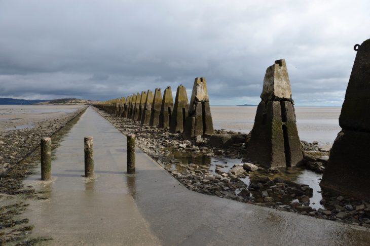 "Dragon's Teeth" at Cramond © Scottish Natural Heritage